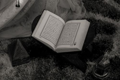 NVD_288010